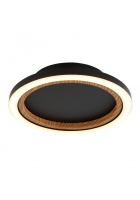 Obrázok pre Stropné svietidlo GLOBO 67356D DAKARI I LED 12W 230V