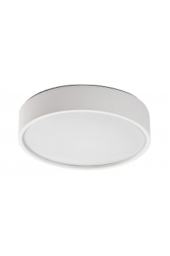 Obrázok pre RABALUX 75012 Larcia stropné svietidlo so senzorom LED 19W
